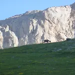 De Montana Uson هيتشو