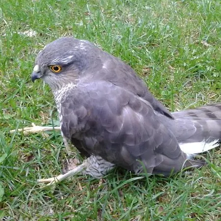 Hotell De Montana Uson Echo