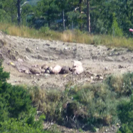 De Montana Uson Echo