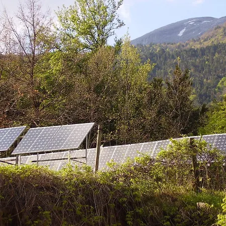 De Montana Uson * Echo