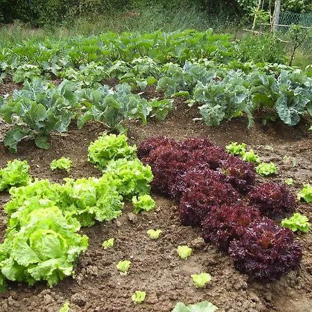 Szálloda De Montana Uson