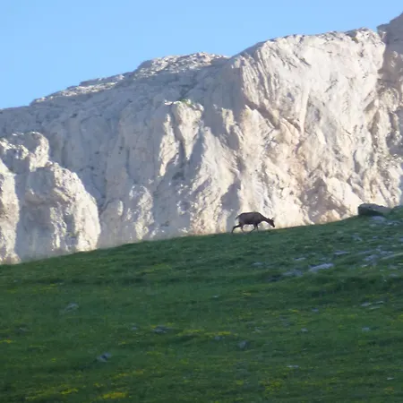 De Montana Uson Hecho