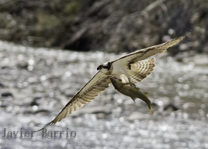 فندق De Montana Uson *