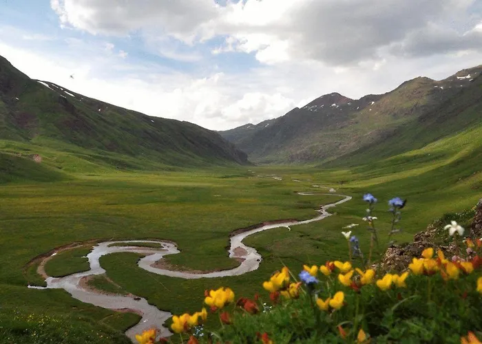 מלון De Montana Uson הצ'ו