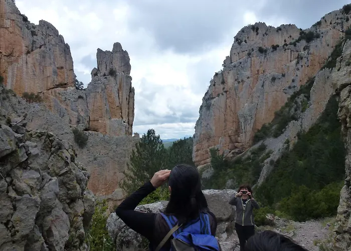 De Montana Uson הצ'ו