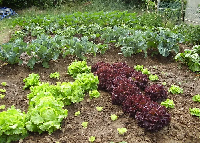 מלון De Montana Uson